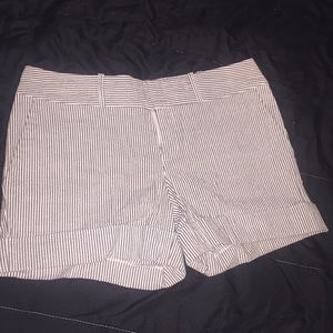 Dressy shorts